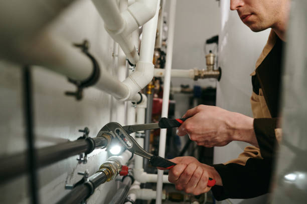 Best Sprinkler Systems  in Ferndale, MD