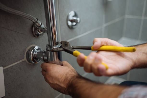Best Plumbing Inspection Services  in Ferndale, MD