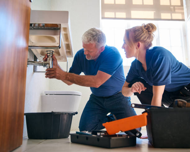 Best Plumbing Repair Near Me  in Ferndale, MD